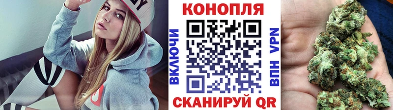 Канабис сатива Тавда